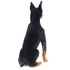 Kép 6/7 - Brutus -plüss dobermann